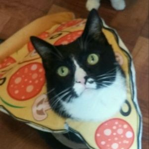 Meet your Posher, Kristen